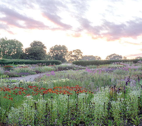 Oudolf Meadow at Hauser and Wirth, Somerset, U.K., Heather Edwards