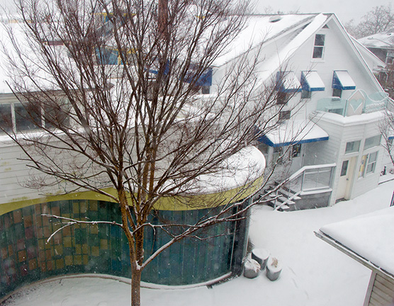 CAMP Rehoboth CAMPus in the Snow - 2015 - Photo by Murray Archibald