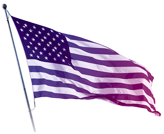 Lavender Flag
